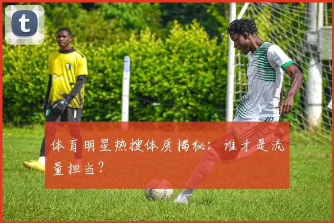 体育明星热搜体质揭秘：谁才是流量担当？