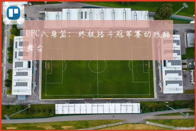 UFC八角笼：终极格斗冠军赛的残酷舞台
