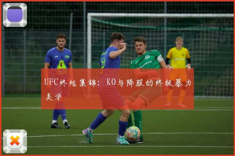 UFC终结集锦：KO与降服的终极暴力美学