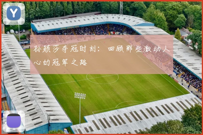 孙颖莎夺冠时刻：回顾那些激动人心的冠军之路