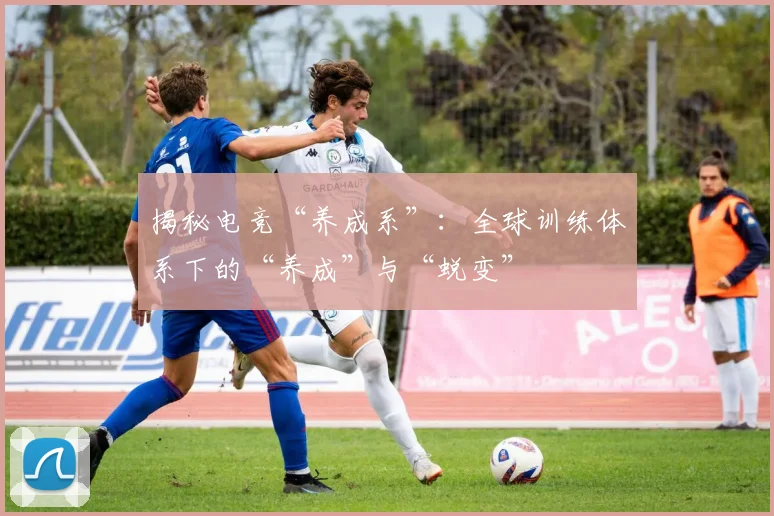 揭秘电竞“养成系”：全球训练体系下的“养成”与“蜕变”