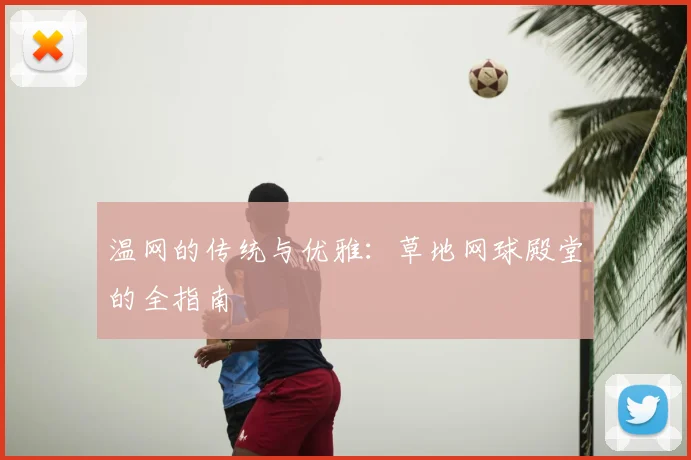 温网的传统与优雅：草地网球殿堂的全指南