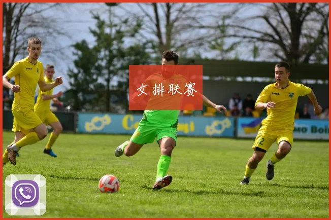 女排联赛