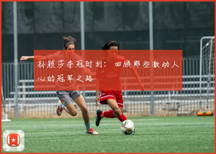 孙颖莎夺冠时刻：回顾那些激动人心的冠军之路