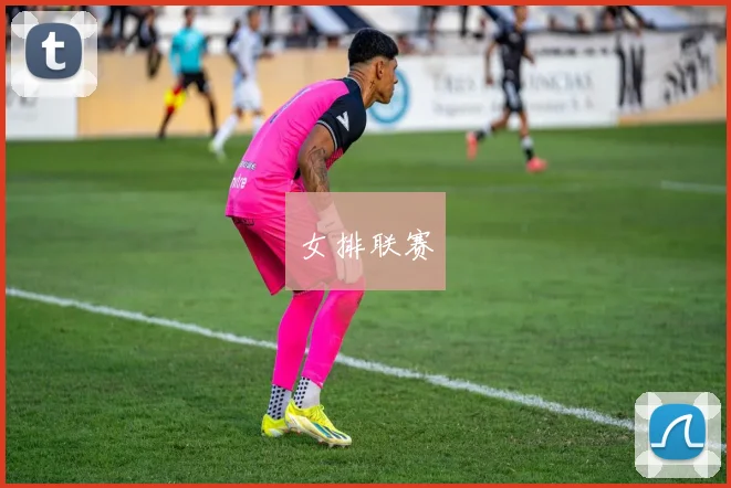 女排联赛