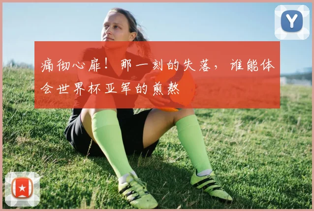痛彻心扉！那一刻的失落，谁能体会世界杯亚军的煎熬