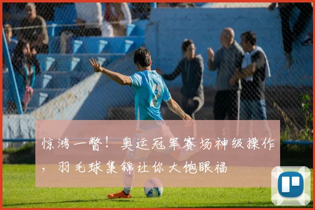 惊鸿一瞥！奥运冠军赛场神级操作，羽毛球集锦让你大饱眼福
