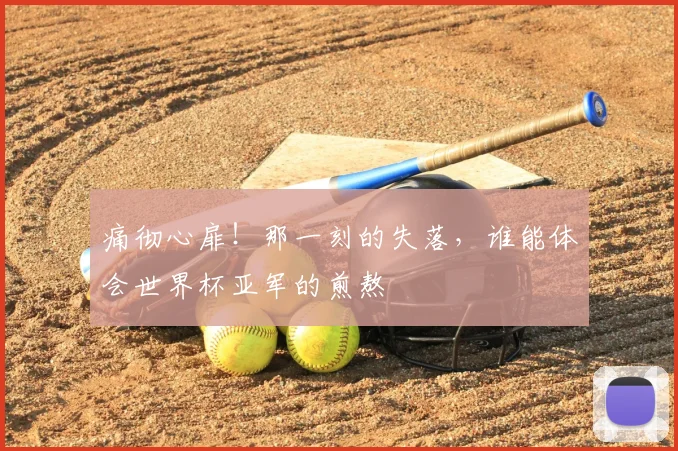 痛彻心扉！那一刻的失落，谁能体会世界杯亚军的煎熬