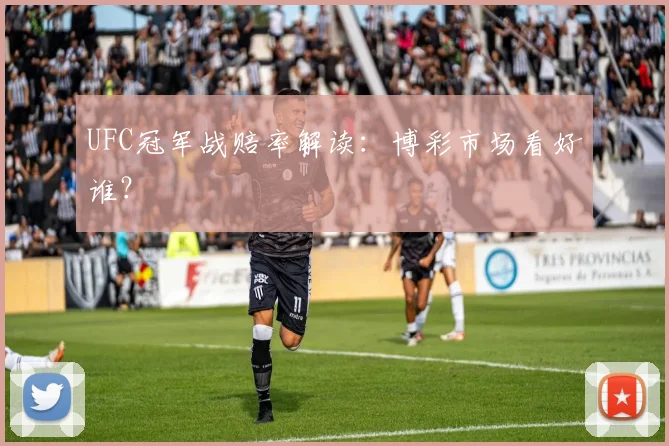 UFC冠军战赔率解读:博彩市场看好谁?