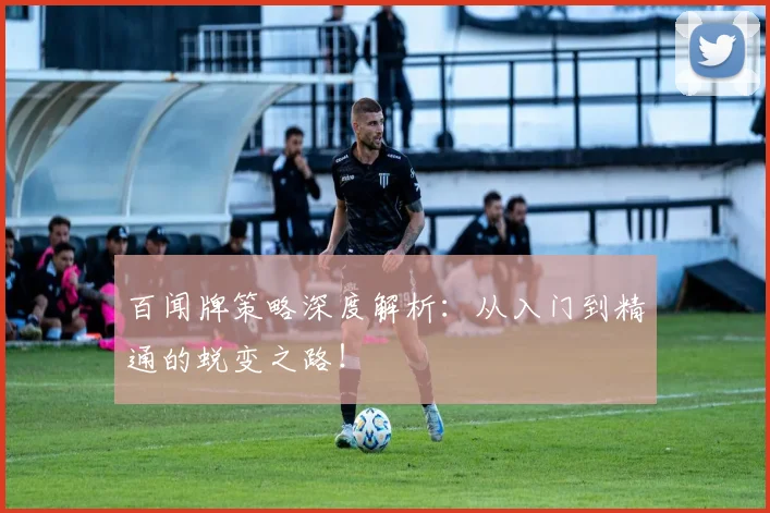 百闻牌策略深度解析：从入门到精通的蜕变之路！