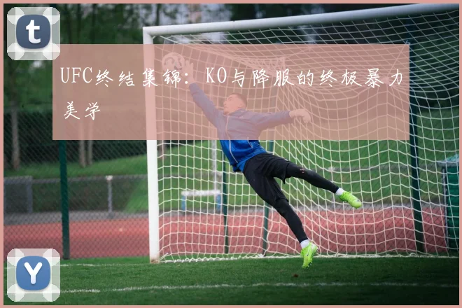 UFC终结集锦：KO与降服的终极暴力美学
