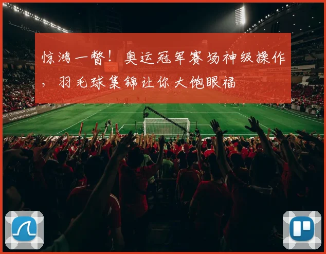 惊鸿一瞥！奥运冠军赛场神级操作，羽毛球集锦让你大饱眼福
