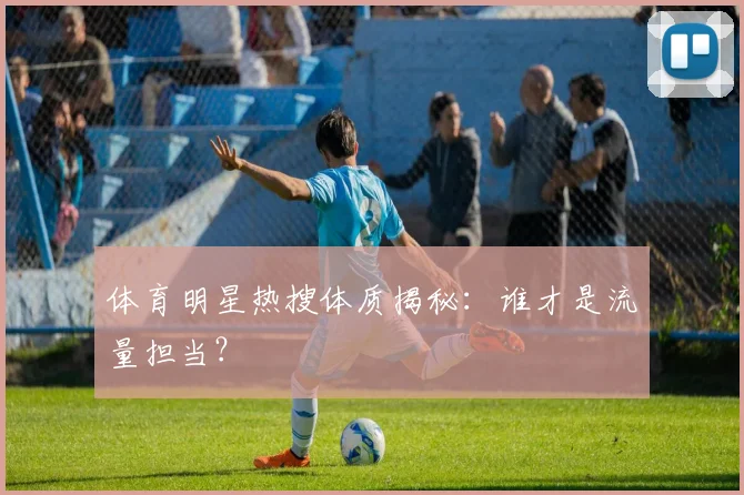 体育明星热搜体质揭秘：谁才是流量担当？