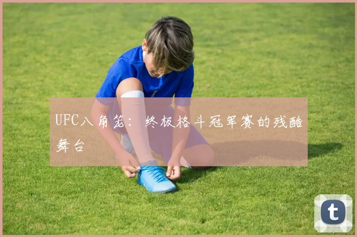 UFC八角笼：终极格斗冠军赛的残酷舞台